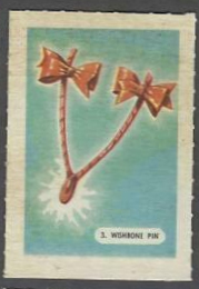 3 Wishbone Pin